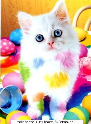 happy easter!! happy easter!
